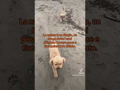 ผลสลากกินแบ่งรัฐบาล วันที่ 1 พย. 2567