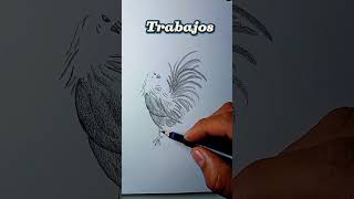 Dibuja un gallo como un maestro!