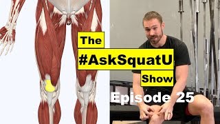 How to Fix Quad & Patellar Tendon Pain |#AskSquatU Show Ep. 25|