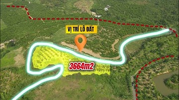 Bán vườn trái cây ngay đường Đinh Công Tráng, Thành phố Bảo Lộc, 3664m2, giá 1.5 tỷ