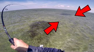 MASSIVE SCHOOL of Redfish!! Fishing Arroyo City 2020
