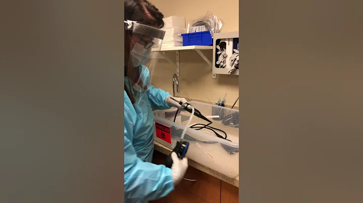 Flexible scope leak testing