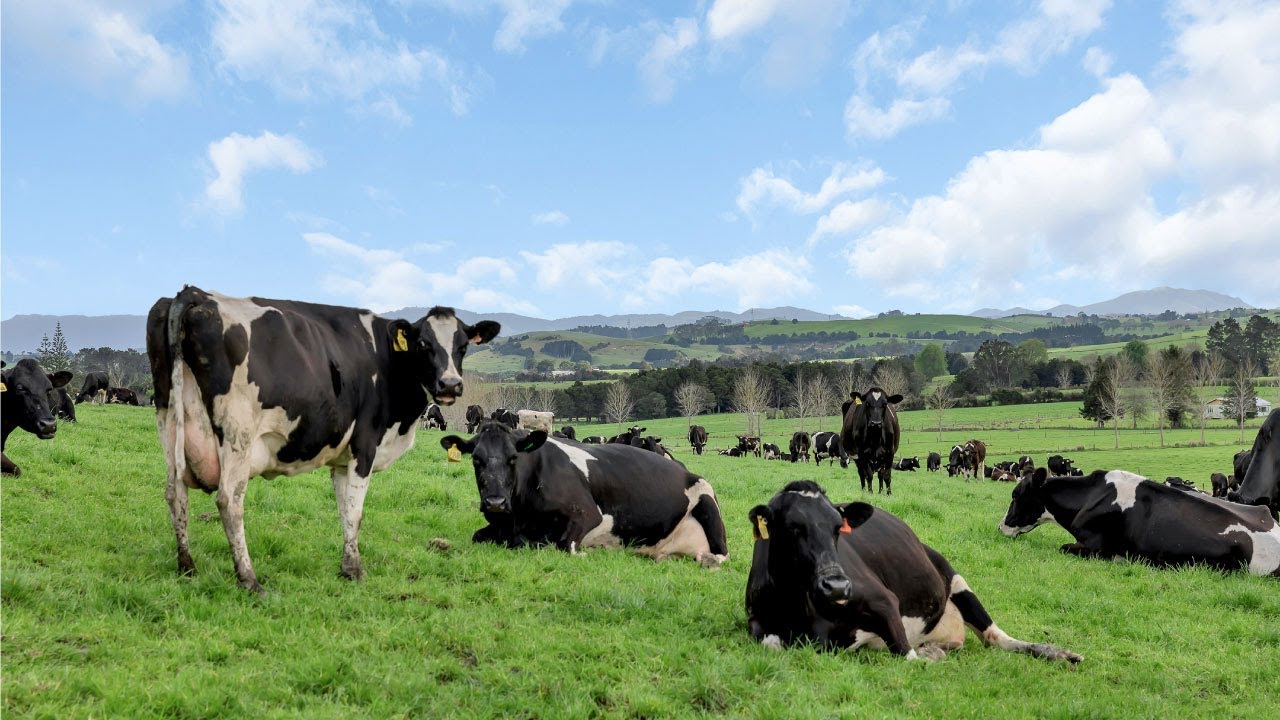 781 Kokopu Road, Kokopu - Peter Ogle