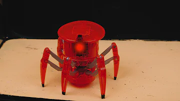 WHAT HAPPENS IF A BIG SPIDER SEES A HEXBUG SPIDER ROBOT? CUNNING BATTLE BETWEEN ROBOT AND SPIDER