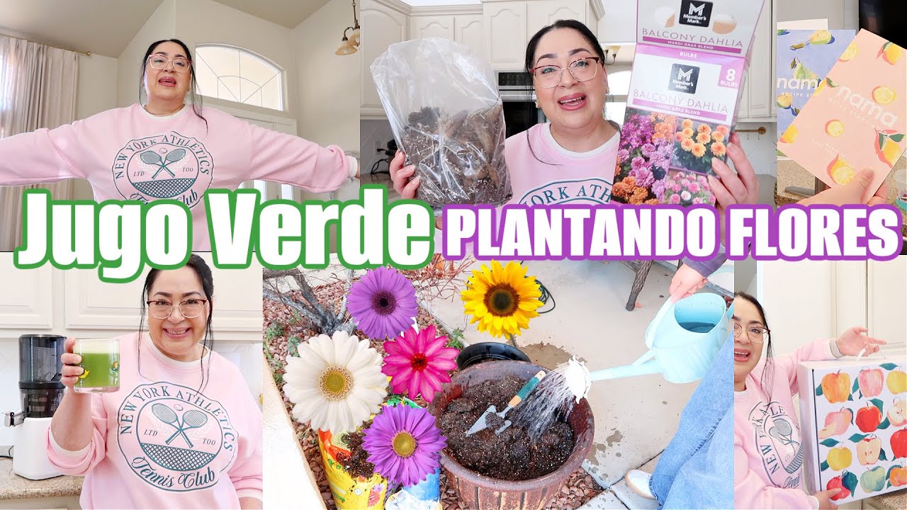 PLANTANDO FLORES para VERANO🌷HACIENDO JUGO VERDE 🥤
