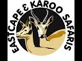 Hunting on the 115 000 acre Karoo Concession - Eastcape and Karoo Safaris