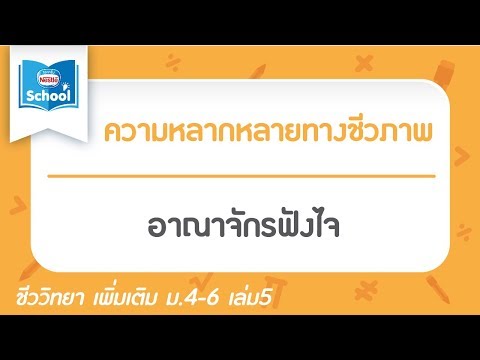 วีดีโอ: เห็ด mukor หรือราขาว: ลักษณะโครงสร้าง การสืบพันธุ์ และโภชนาการ