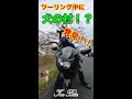 Ninja250Rでツーリング中に犬の村を発見【#ヤフオク #ninja250r #ニンジャ250r #shorts 】