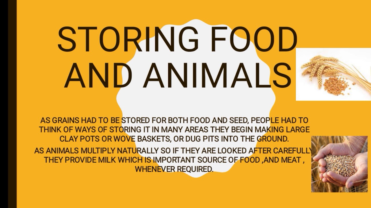 From hunter gatherer to growing food YouTube