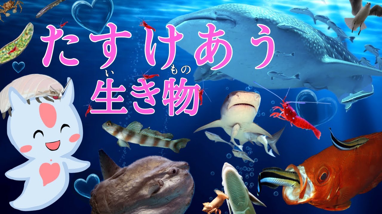共生関係　助け合う生き物たち