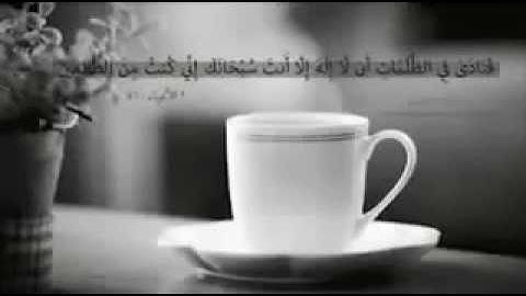 وذا النون إذ ذهب مغاضبا فظن أن لن نقدر عليه    تلاوة الشيخ وديع اليمني