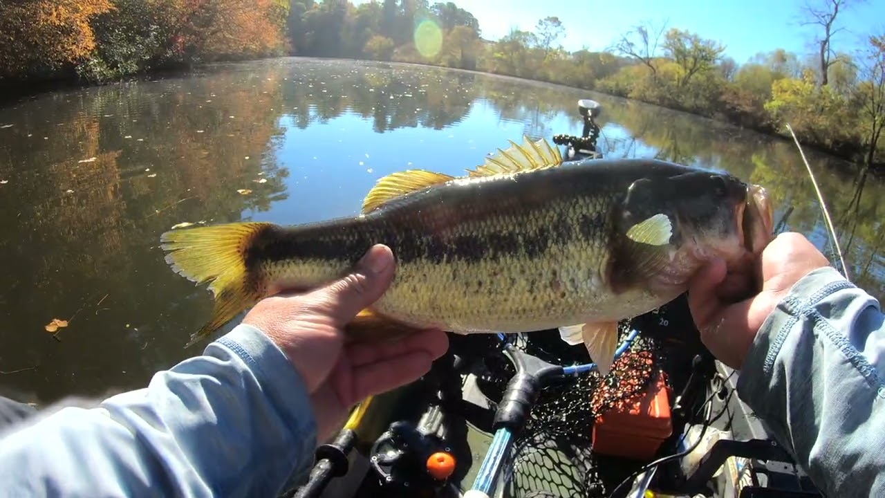 Little Tennessee River (NC) Bass Fishing
