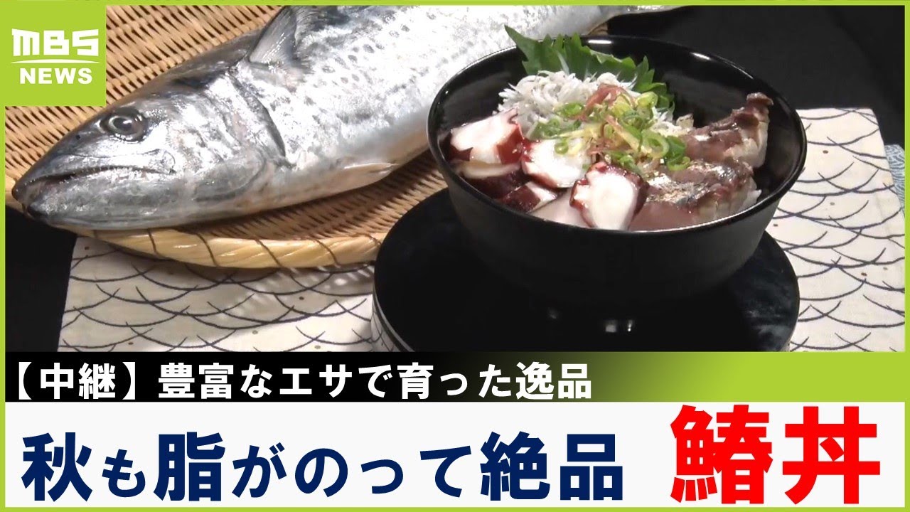 大阪湾の豊富なエサで育つ逸品！魚庭(なにわ)でとれる春を告げる魚「鰆」の絶品丼　大阪・阪南市【川地洋平の最旬！丼マン】【現場から中継】（2025年10月24日）