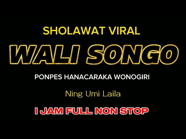 SHOLAWAT VIRAL !! WALI SONGO - NING UMI LAILA 1 JAM FULL NON STOP class=