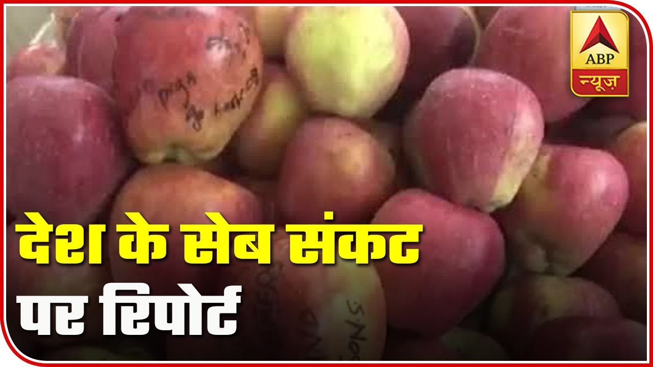 Himachal Pradesh: Apple Scab Will Lead To Costlier Fruit | ABP News