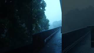 1080520 大雨風