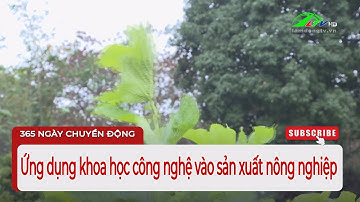 Ứng dụng khoa học công nghệ vào sản xuất nông nghiệp | Lâm Đồng TV