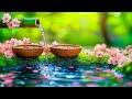 Music Heals The Heart And Blood VesselsрџЊї Calms The Nervous System With Soothing Water Sounds Music Heals The Heart And Blood VesselsрџЊї Calms The Nervous System With Soothing Water Sounds