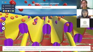 Roqed Science teaching cases 3