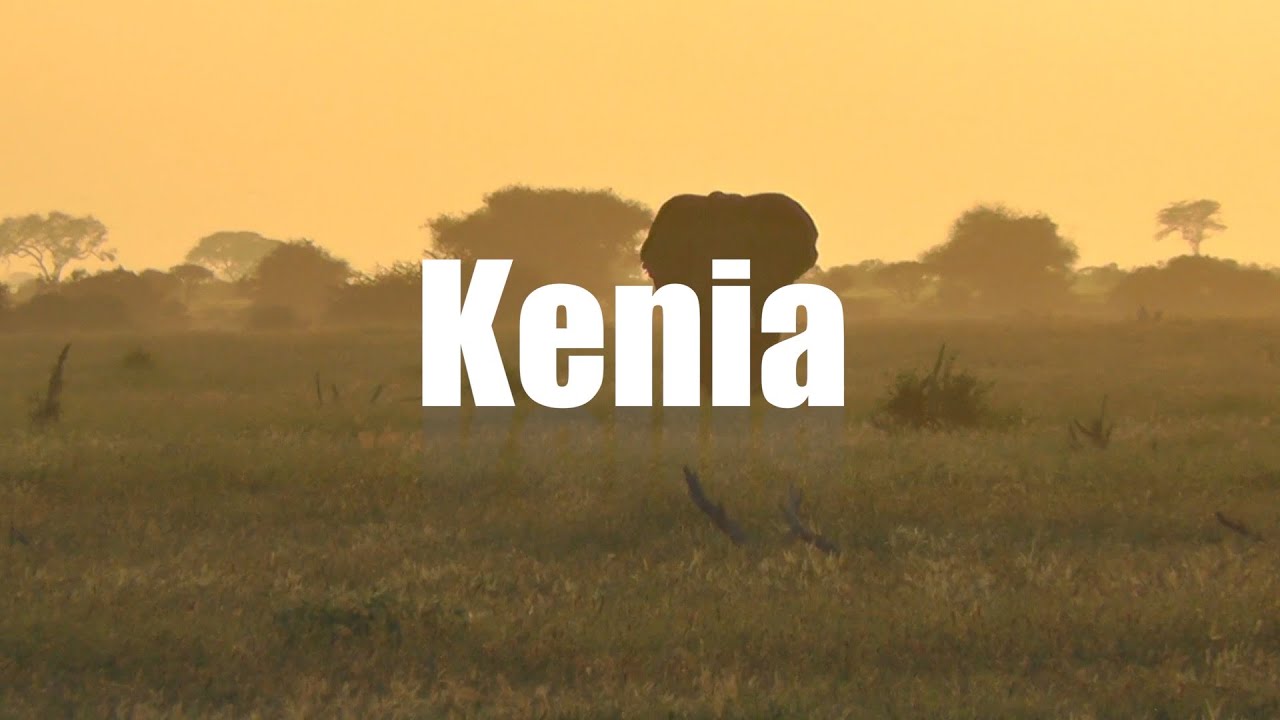 kenia safari costo