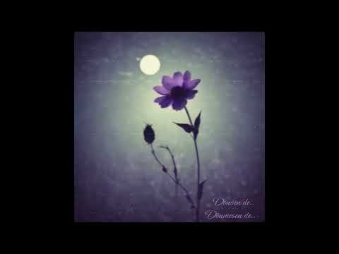 Dönsen De Dönmesen De