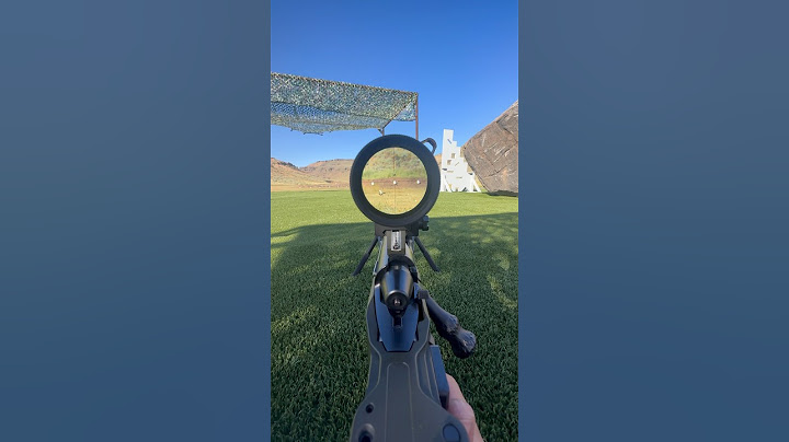 POV at 600 yards with my 223 bolt gun