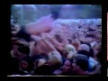 Sublime unreleased footage and zman with eric at warped tour