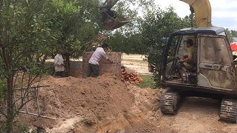 Đào giếng quá nhanh với máy xúc - Bonsai And Life