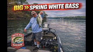 Watts Bar Lake 4 4 2026 - Water Temp is 64 degrees and still about 3-4 feet below full pull.