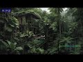 Deep Sleep Rain Loop with Quiet Thunder Tones