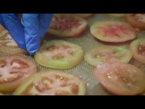 Transfer2agro - Desidratação do Tomate