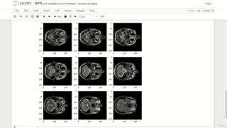 5  NIfTI in Python