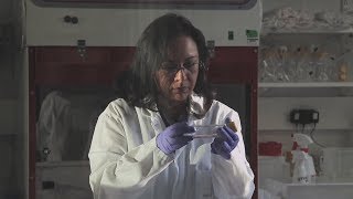 Scientists leaving Mexico cause a “brain drain” for the country Net Worth