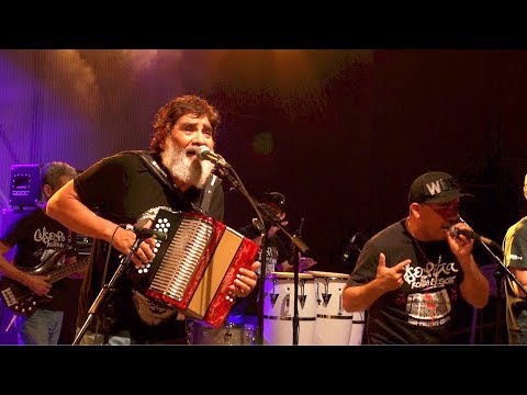 Live Levitt Celso Piña Youtube