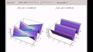 Famous Partial Derivative Functions and Their Plots Profile