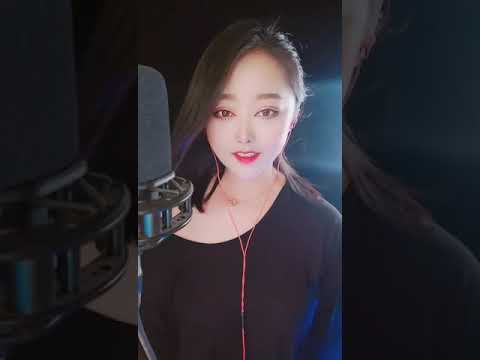 《飛蛾撲火》— 惠子