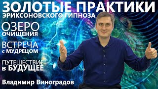 Золотые практики Эриксоновского гипноза Владимир Виноградов