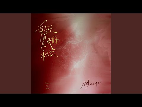 爱你是我的秘密 (爱你成了我的秘密0.95x)