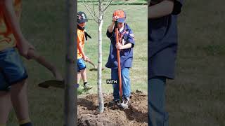 An Inside Look at the Tree Advisory Board | Town of Erie