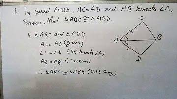 In quadrilateral ACBD, AC=AD and AB bisects angle A. Show that ABC congruent ABD, Triangles, Ex. 7.1