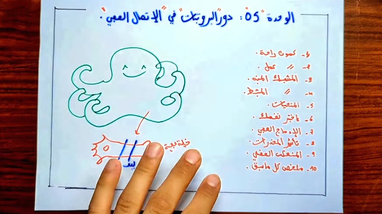 الإتصال العصبي 🐙