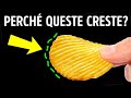 Perché Le Patatine Hanno Le Creste + Altre Curiosità!