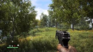 Far Cry 4 Trees Wind Lighting GTX 970