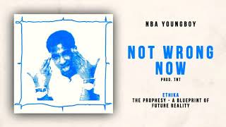 nba youngboy - not wrong now (OFFICIAL AUDIO)