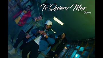 Nelly Nelz - Te Quiero Mas Remix Ft Dowba Montana, Lito Kirino,  Menor Bronx | 25 Pa Vida