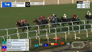 Gulfstream Park Carrera 10 - 11 De Diciembre 2022