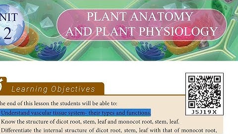 10th Science unit 12 PLANT ANATOMY AND PLANT PHYSIOLOGY  Vascular tissue system types,Functions