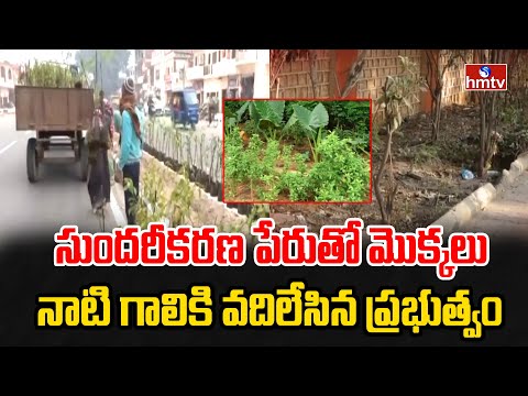 సుందరీకరణ పేరుతో మొక్కలు నాటి గాలికి వదిలేసిన ప్రభుత్వం | Pakka Hyderabadi | hmtv - HMTVNEWS