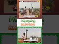 #గౌరవెల్లి రిజర్వాయర్ కట్ట పై మందు తాగితే తాటతీస్తాం#||siti news#husnabad