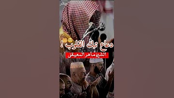 دعاع تبكي القلوب | الشيخ ماهر المعيقلي | تلاوة جميلة